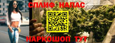 прущие грибы Краснокаменск