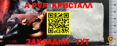 прущие грибы Краснокаменск