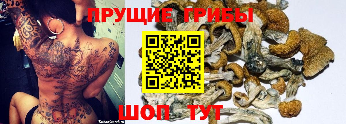 Псилоцибиновые грибы мухоморы Жигулёвск